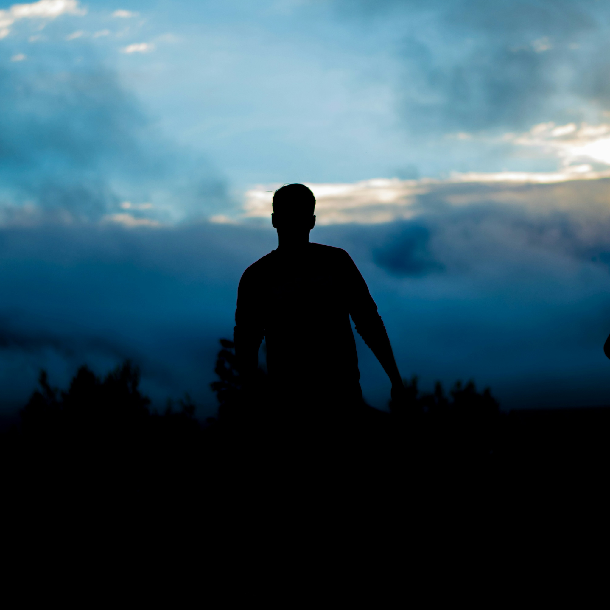 4Savage Fragrance Oil