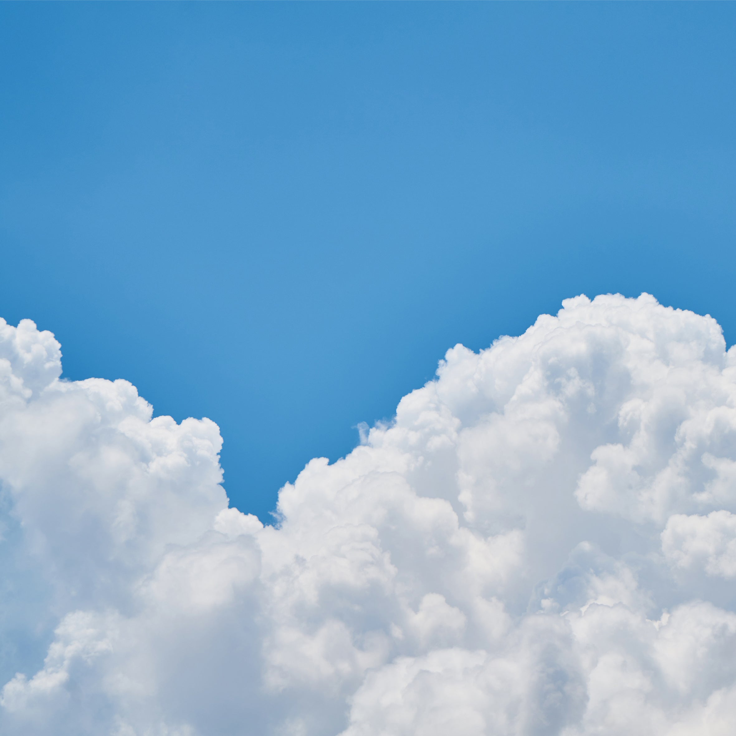 Air Fresh Fragrance Oil