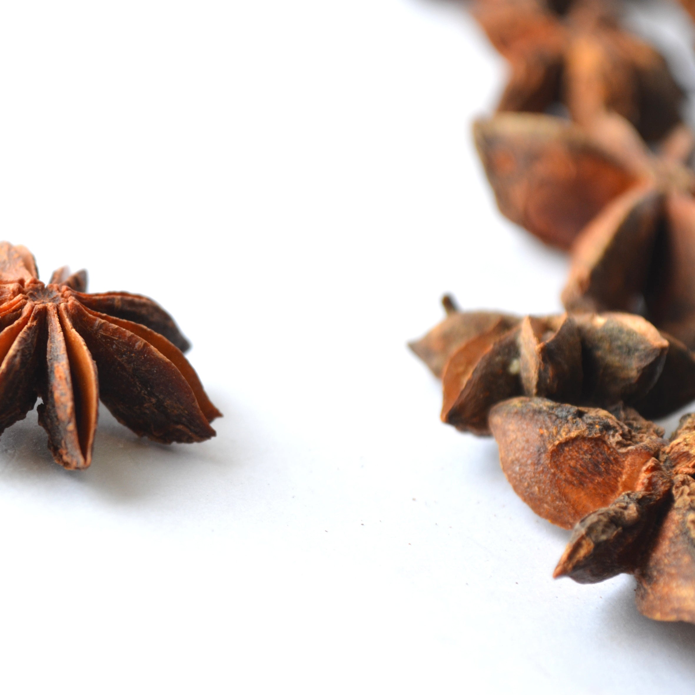 Aniseed Fragrance Oil