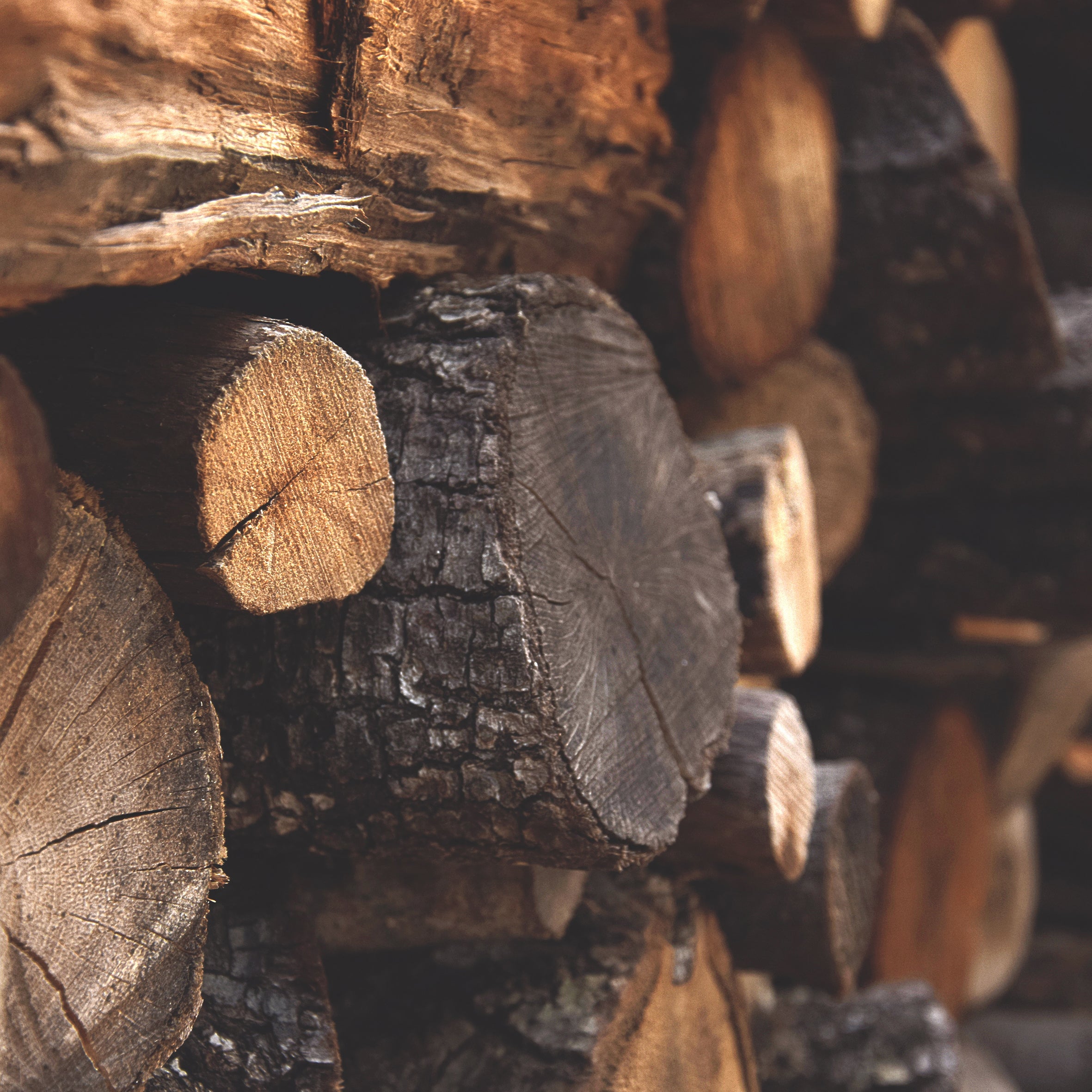 Antique Sandalwood Fragrance Oil (PF)