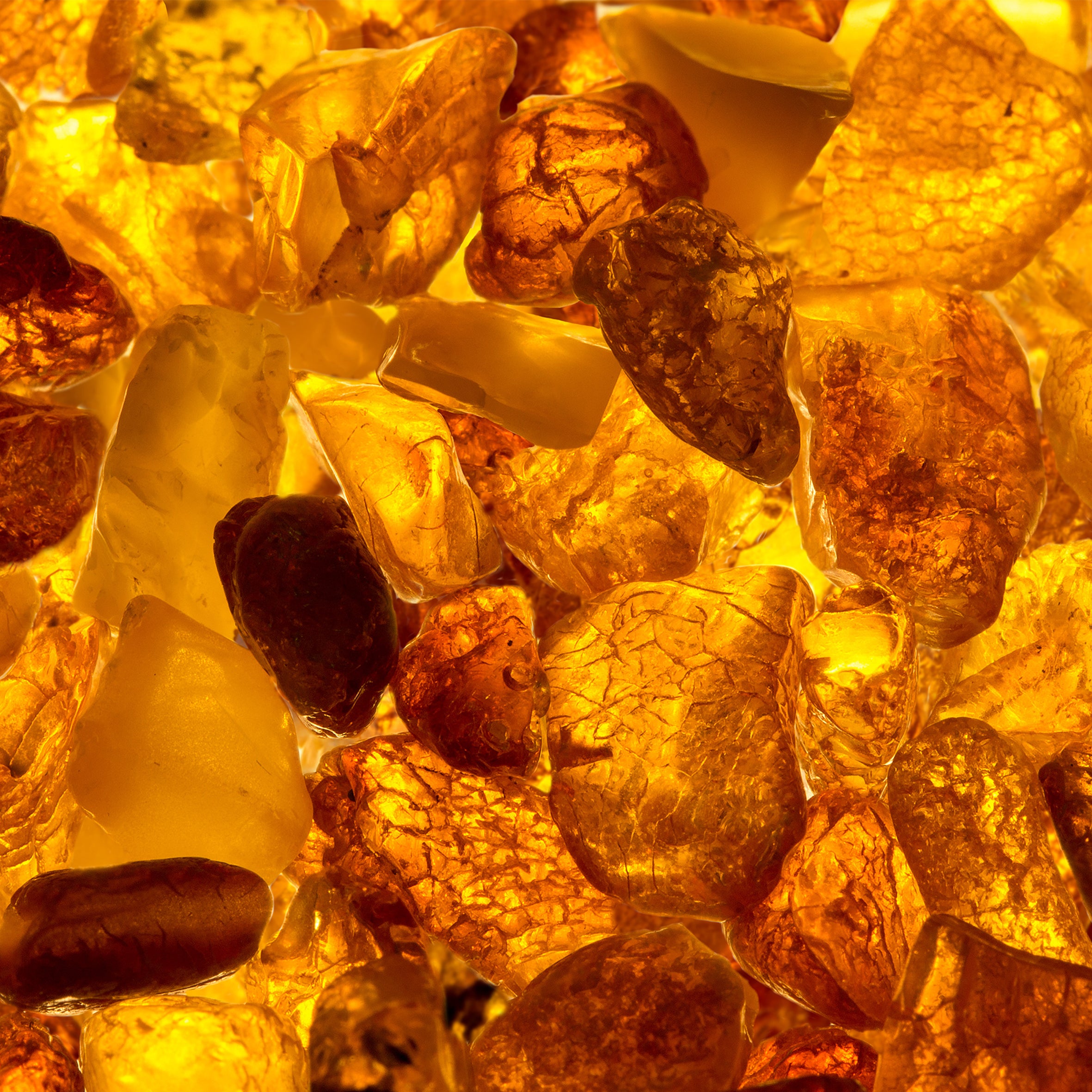 Asian Amber Fragrance Oil (PF)