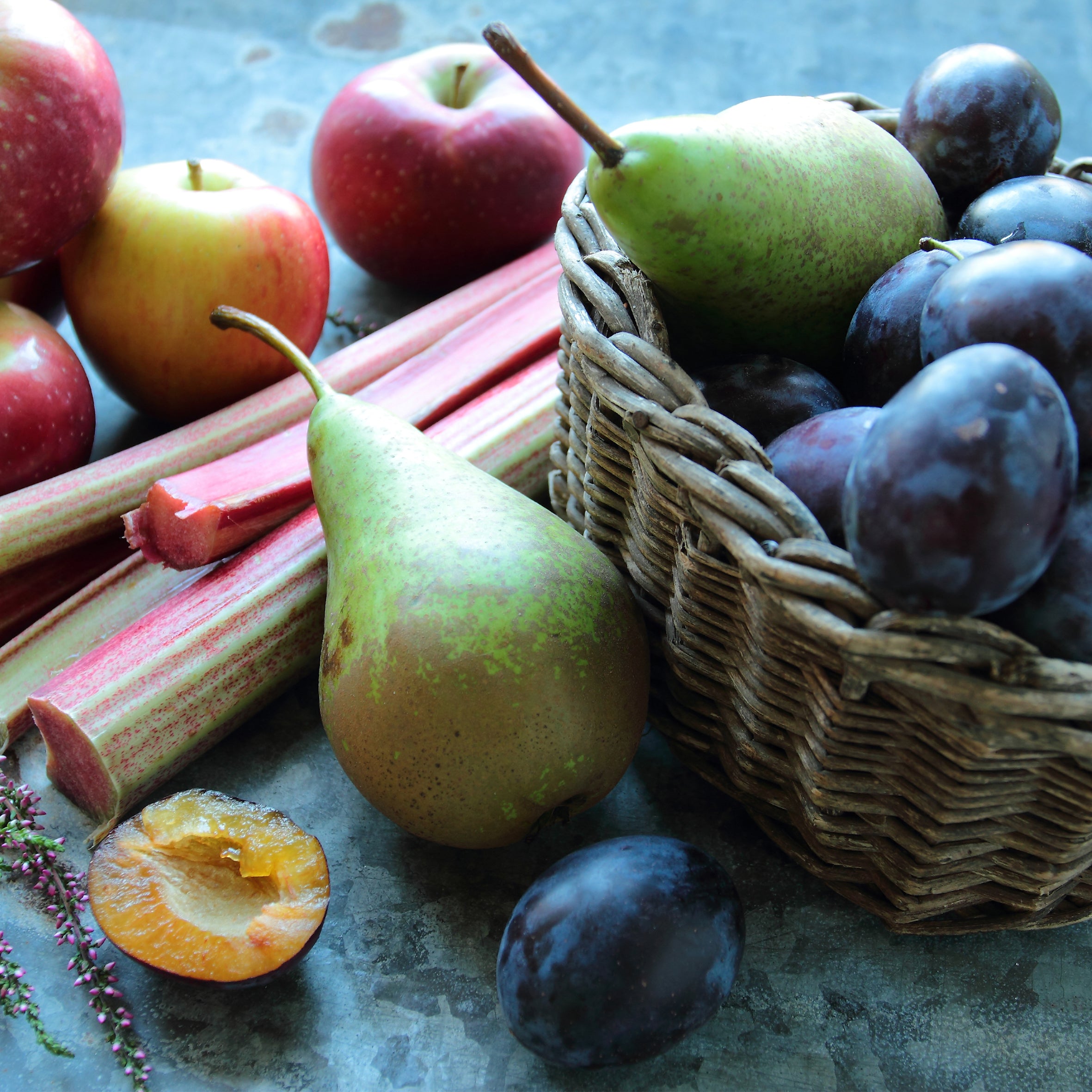 Black Plum & Rhubarb Fragrance Oil (PF)