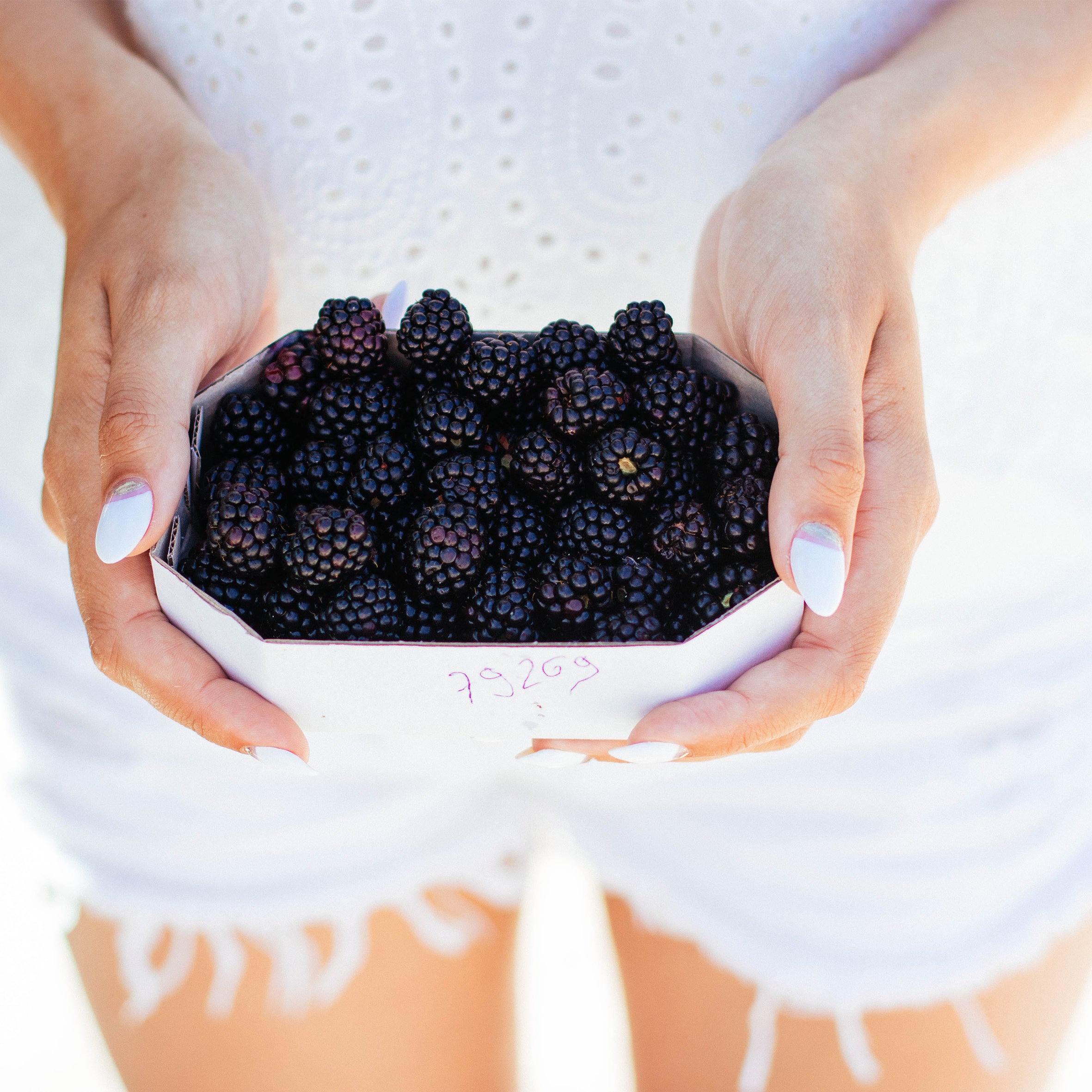 Blackberry Fragrance Oil