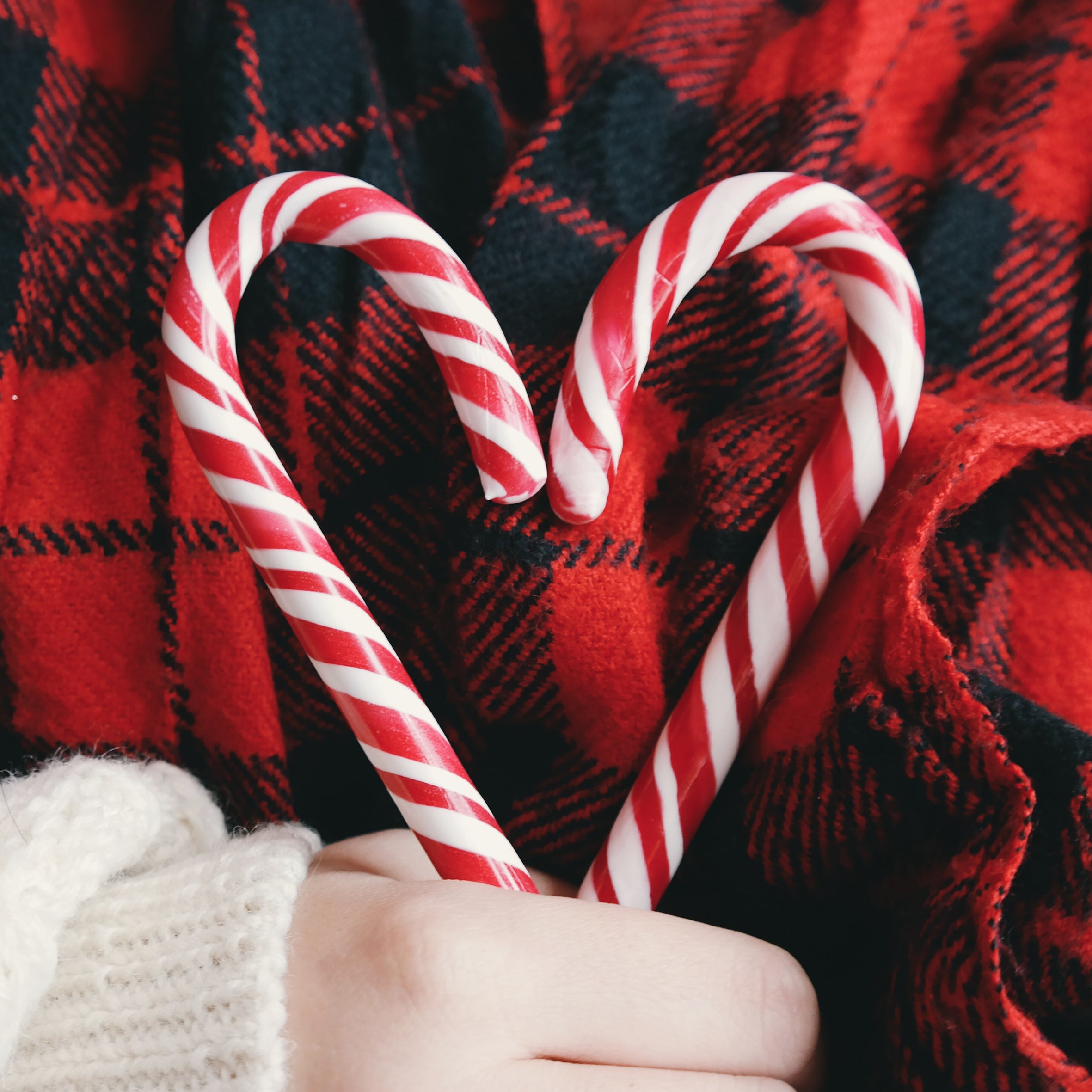 Candy Cane Fragrance Oil (PF)