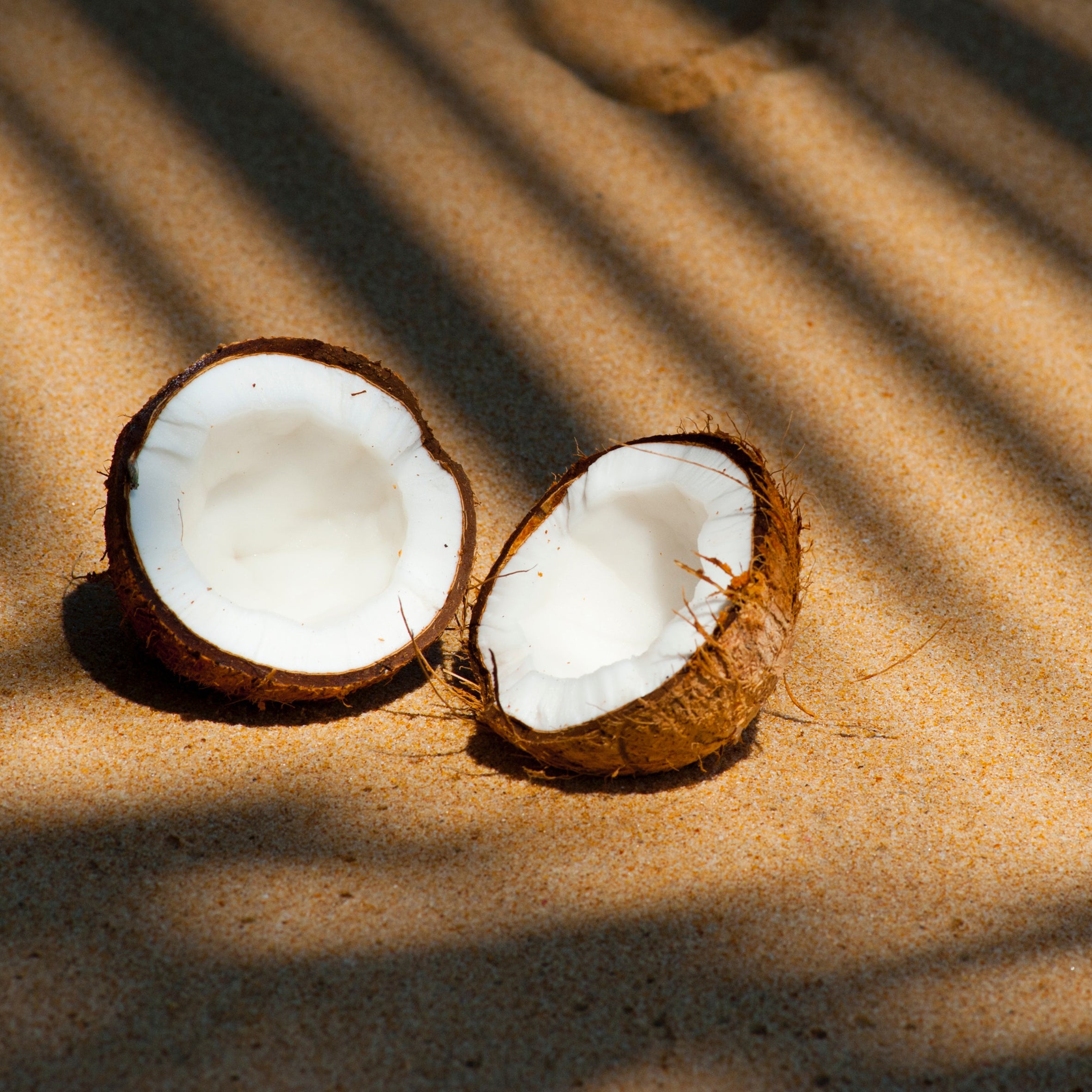 Coconut Beach Fragrance Oil (PF)