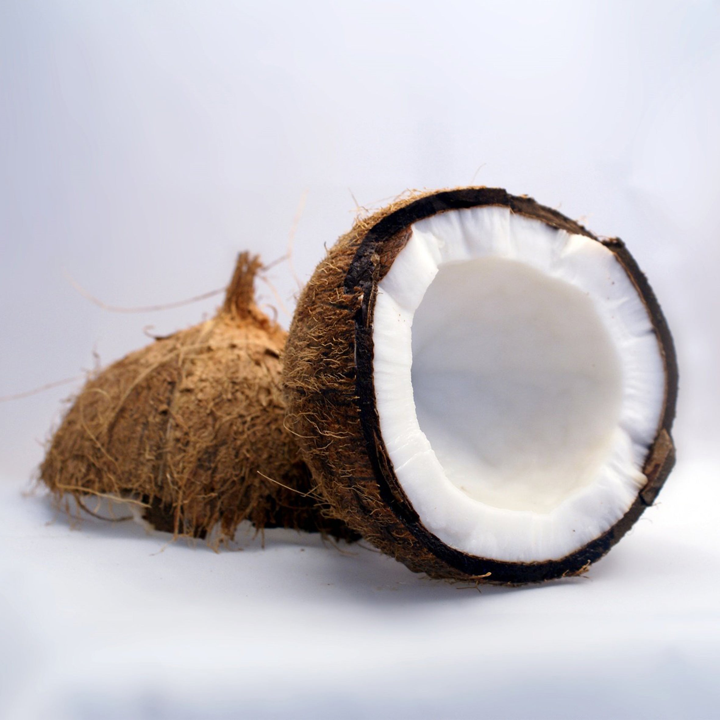 Coconut Fragrance Oil