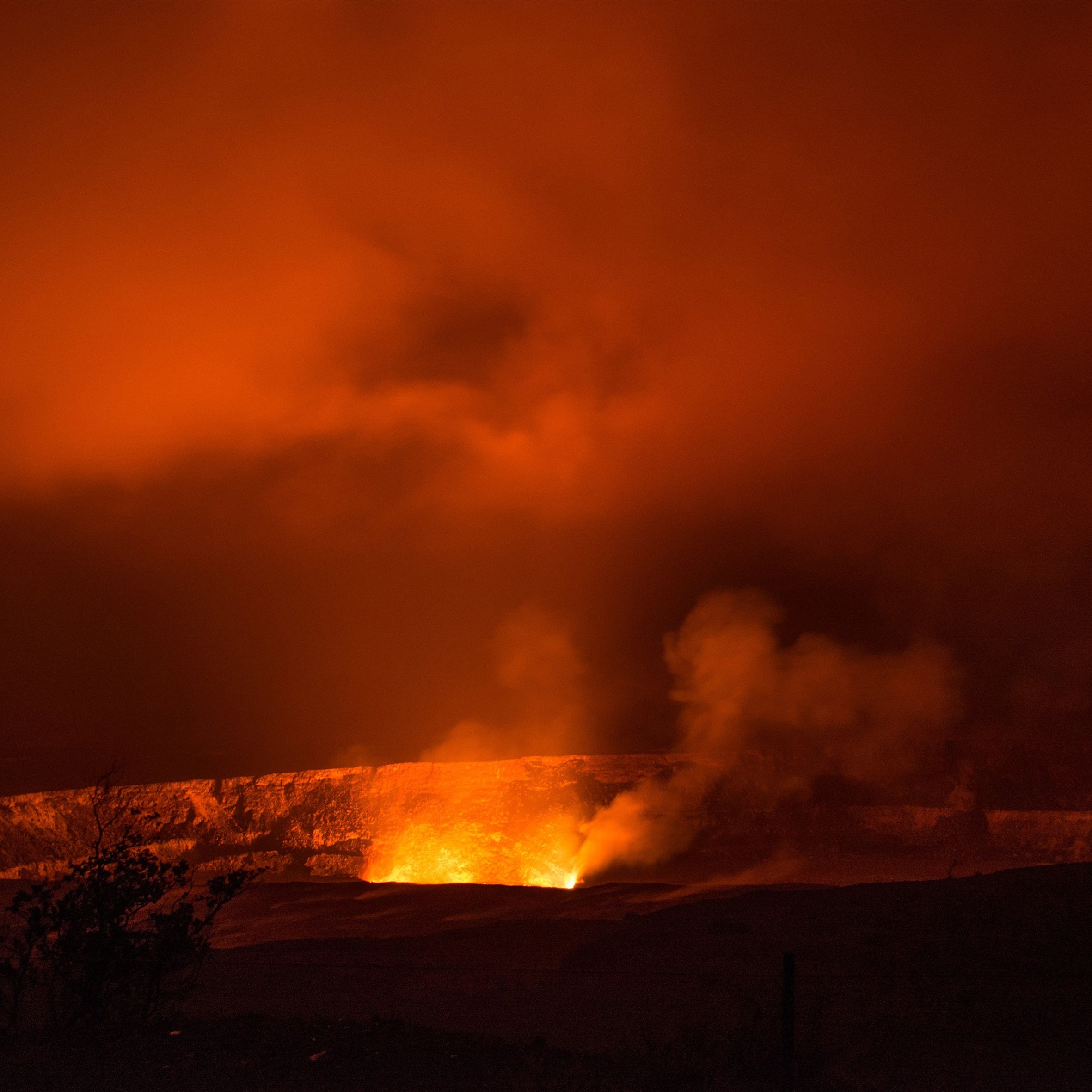 Dragons Blood Fragrance Oil (PF)