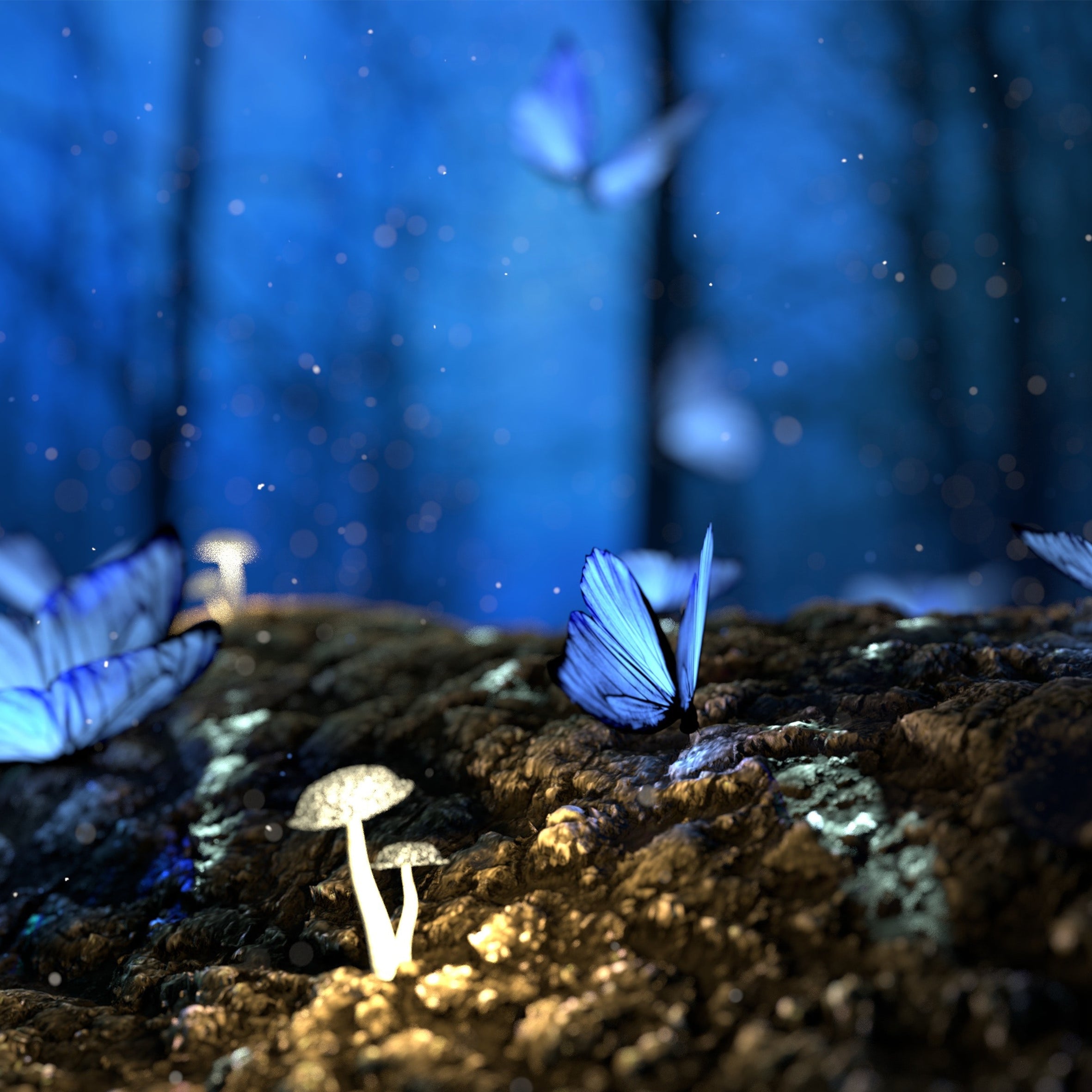 Enchanted Forest Fragrance Oil (PF)