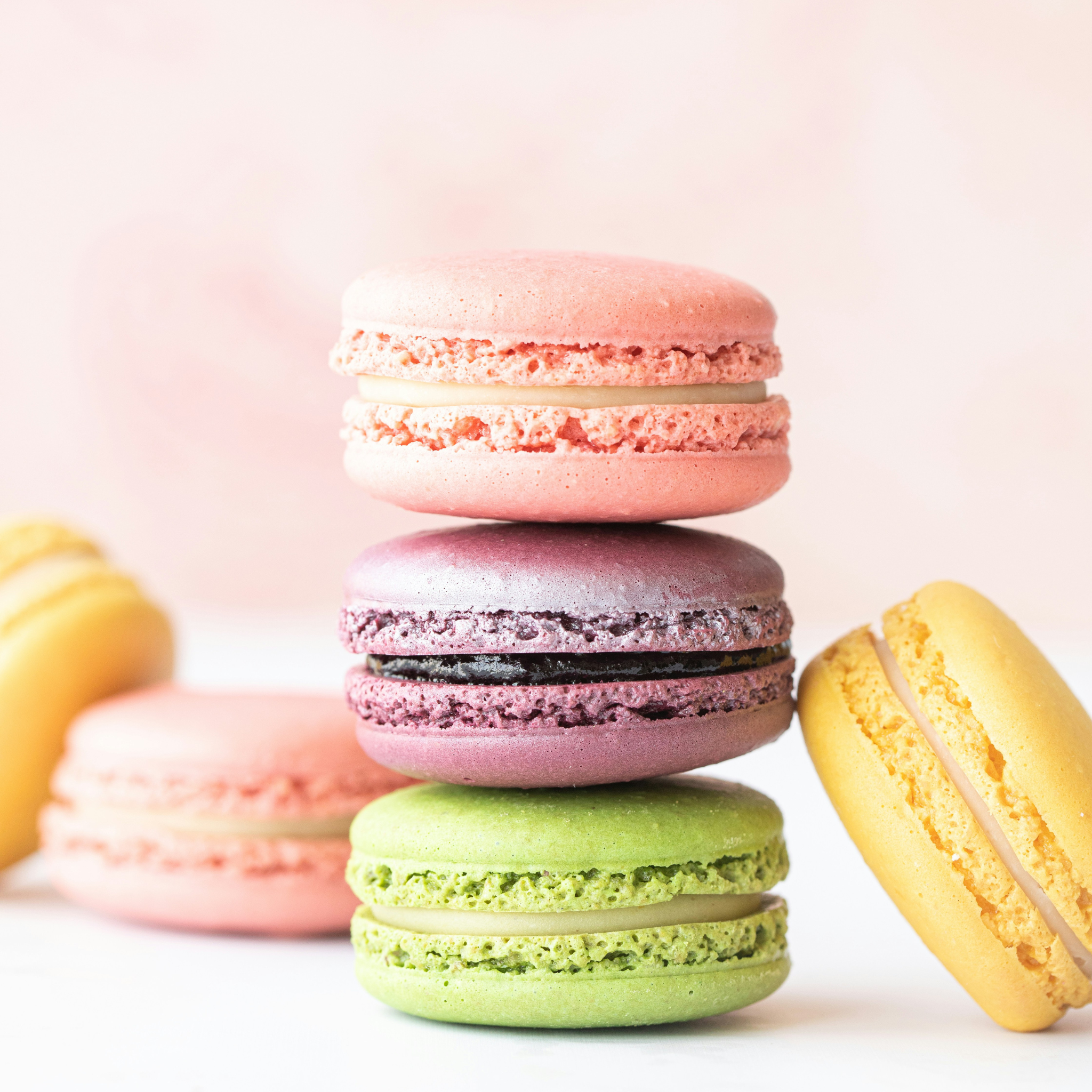 French Macarons Fragrance Oil