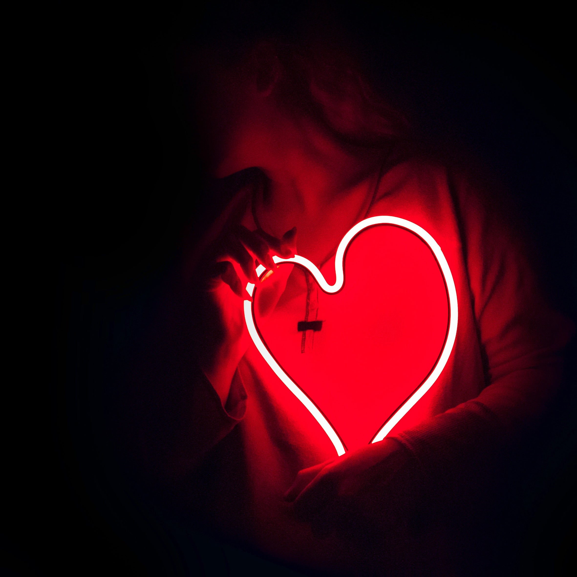 Just Lust Fragrance Oil (PF)