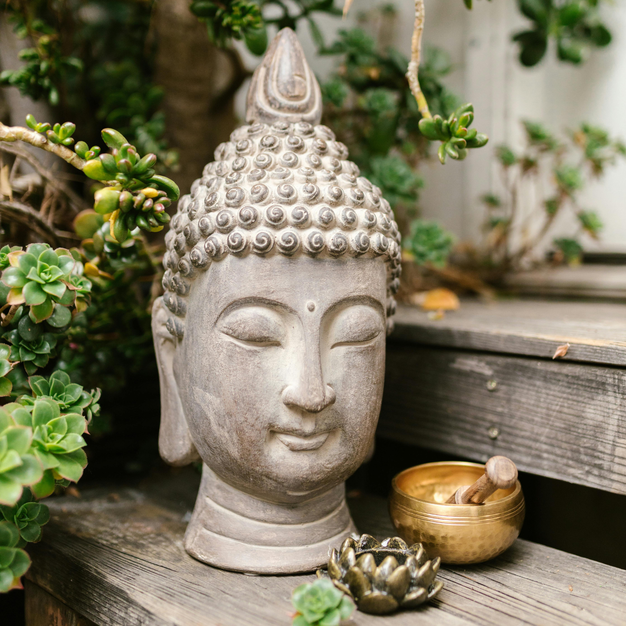 Karma Kindness Fragrance Oil (PF)