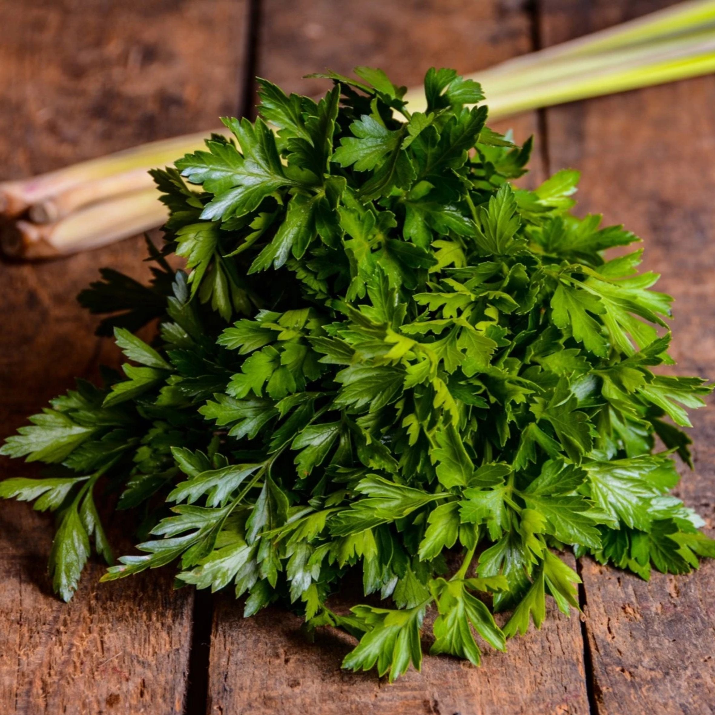 Lemongrass Coriander Fragrance Oil (PF)