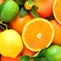 Lime Basil Mandarin Fragrance Oil (PF)