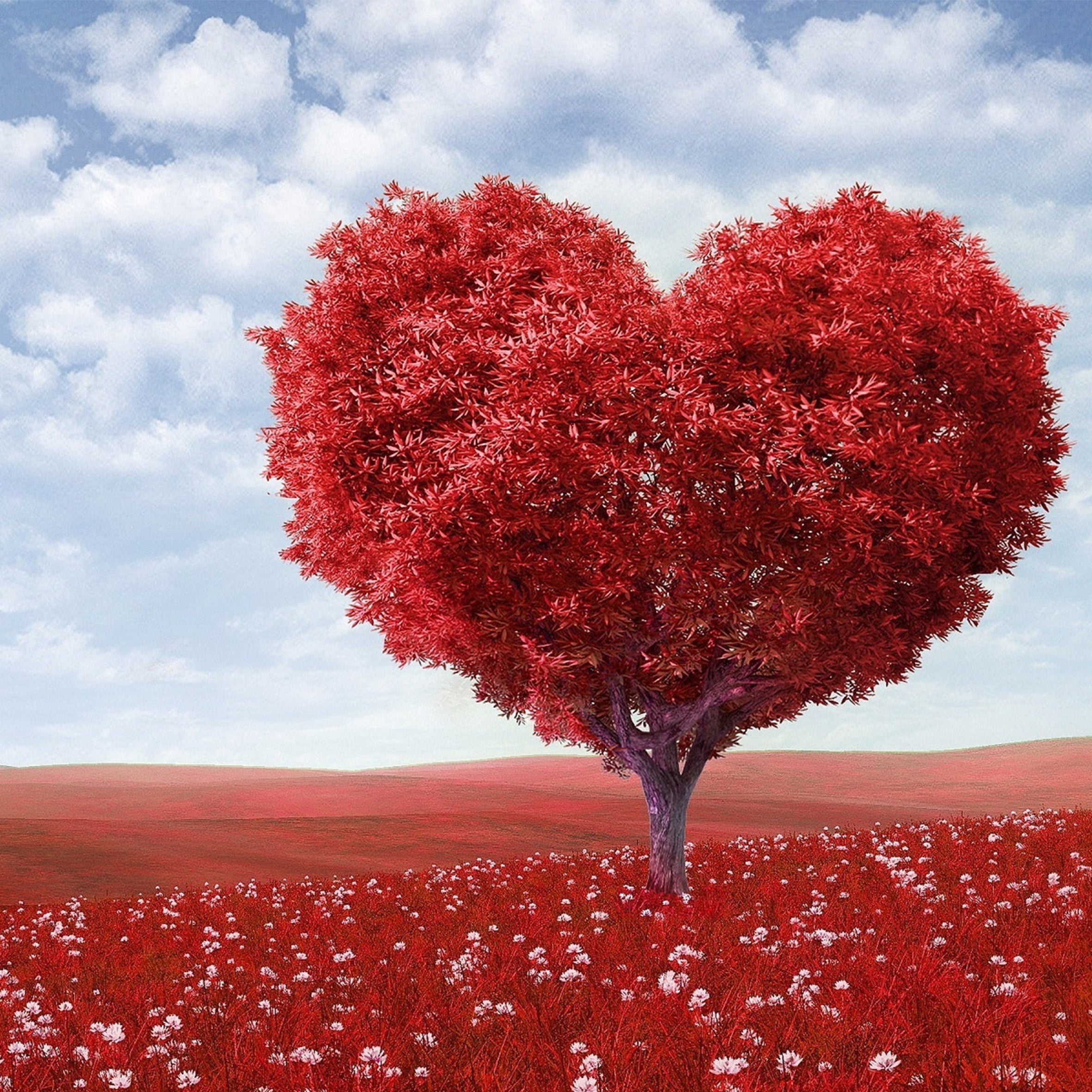 Love Spell Fragrance Oil (PF)