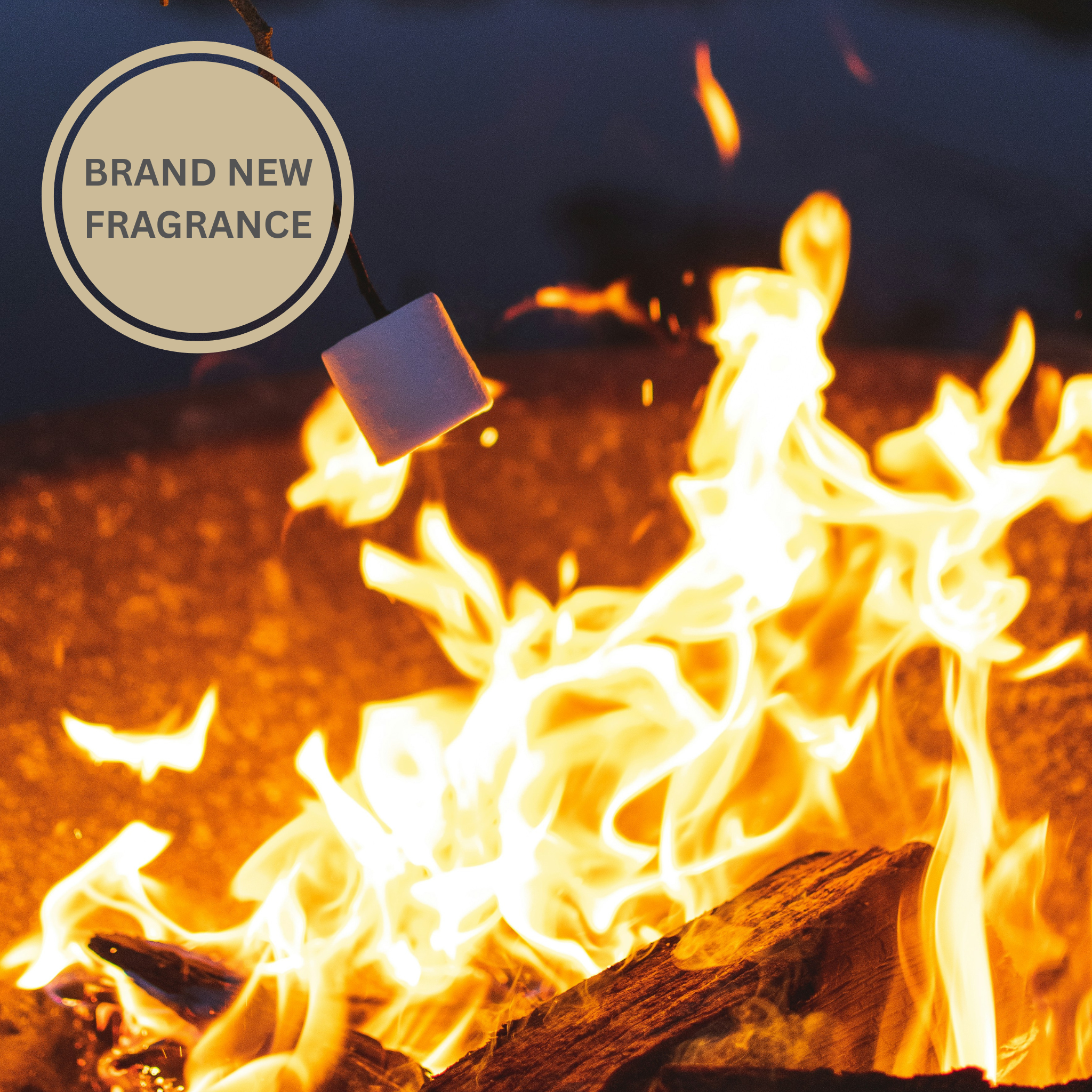Marshmallow Campfire Fragrance Oil (PF)