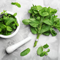 Peppermint & Eucalyptus Fragrance Oil (PF)