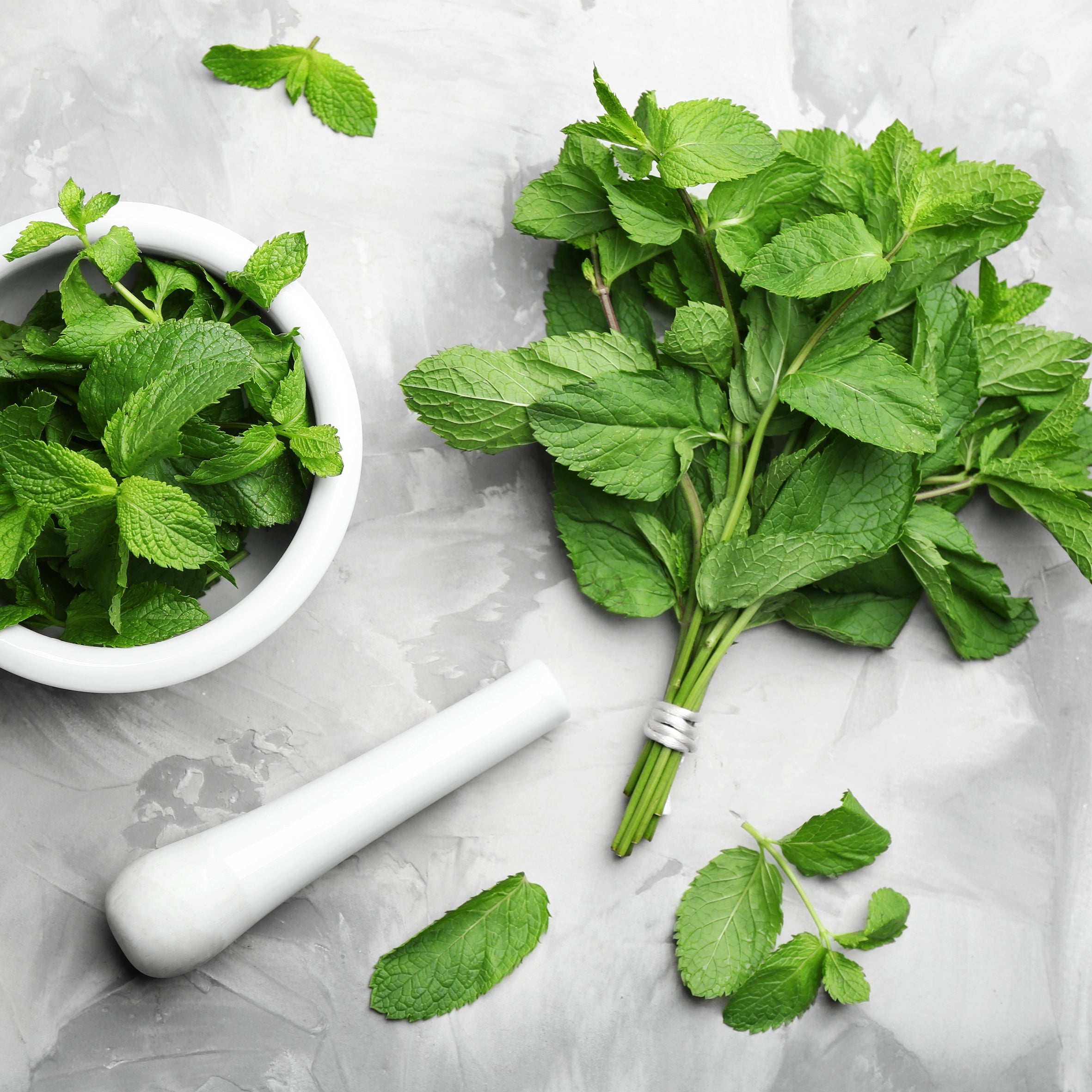 Peppermint & Eucalyptus Fragrance Oil (PF)