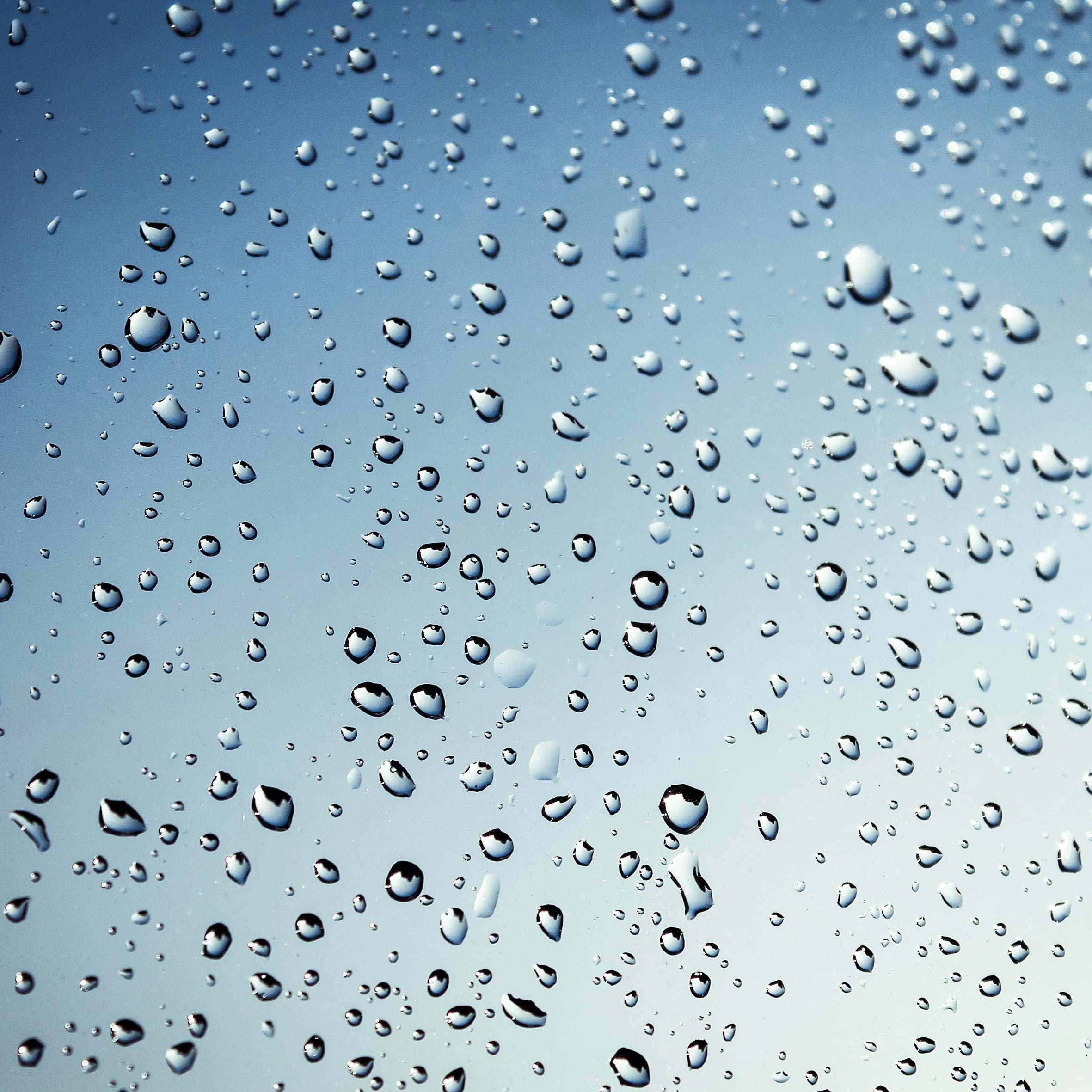 Rain Water Fragrance Oil (PF)