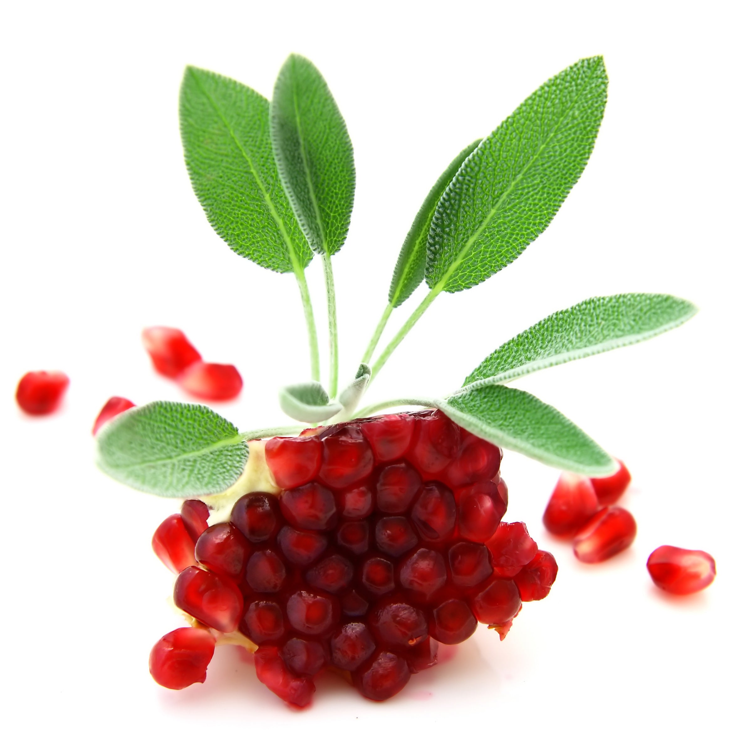 Sage & Pomegranate Fragrance Oil (PF)