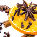 Spiced Orange Fragrance Oil (PF)