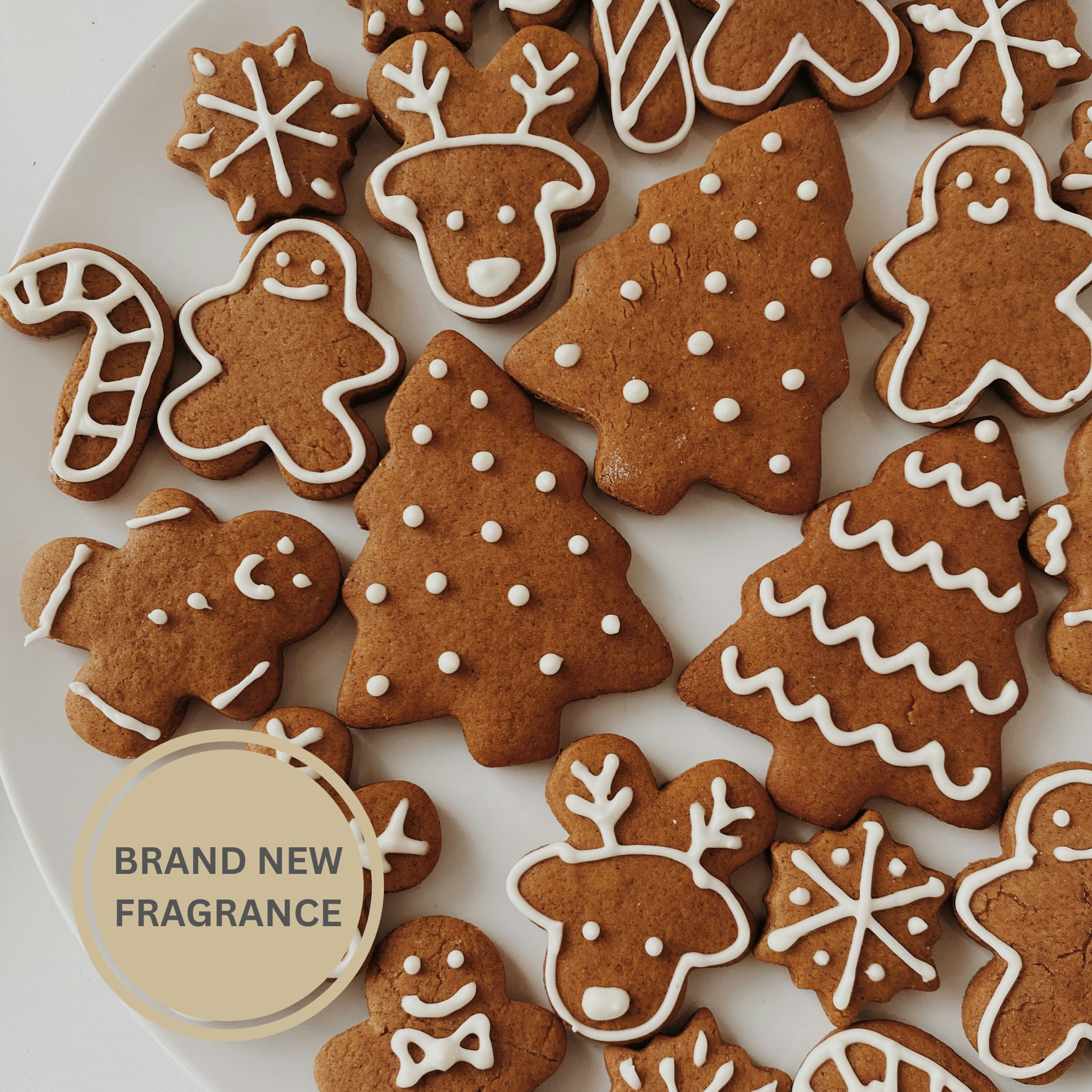 Sticky Ginger Fragrance Oil (PF)