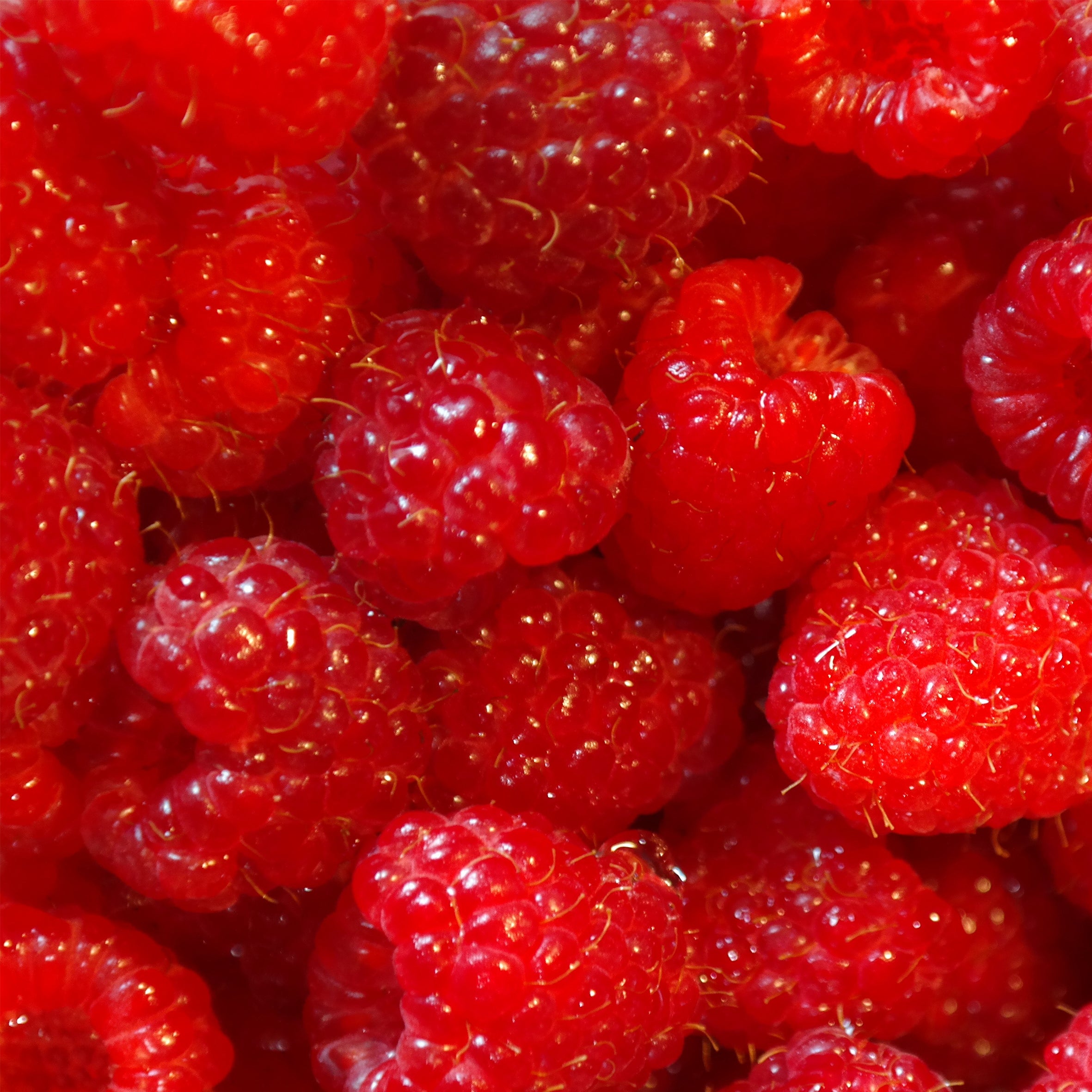 Sun Ripened Raspberry Candle Making Fragrance Oil (PF) – Na2ral Limited ...