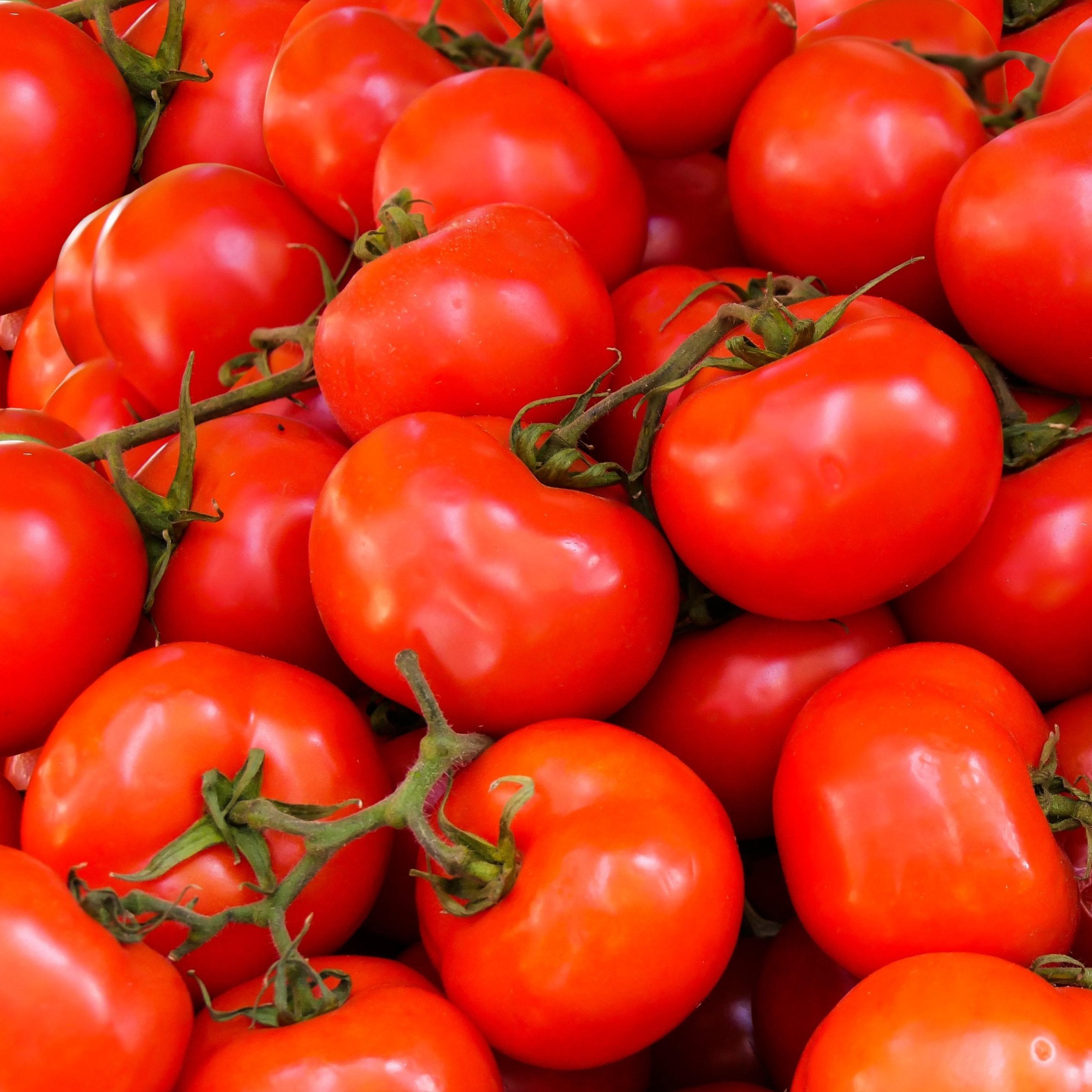 Tomato Vine Fragrance Oil (PF)