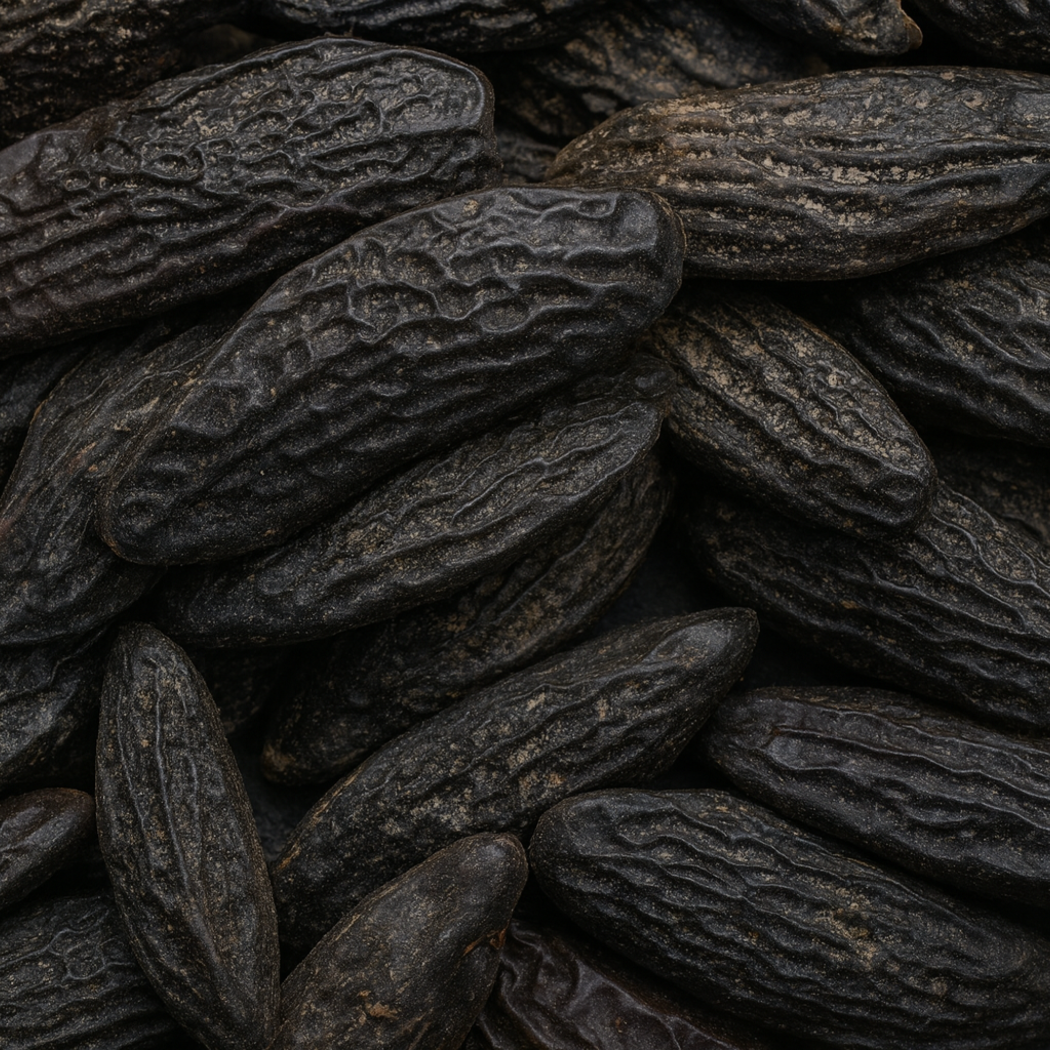 Tonka Fragrance Oil (PF)