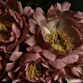 Velvet Peony & Oud Fragrance Oil (PF)