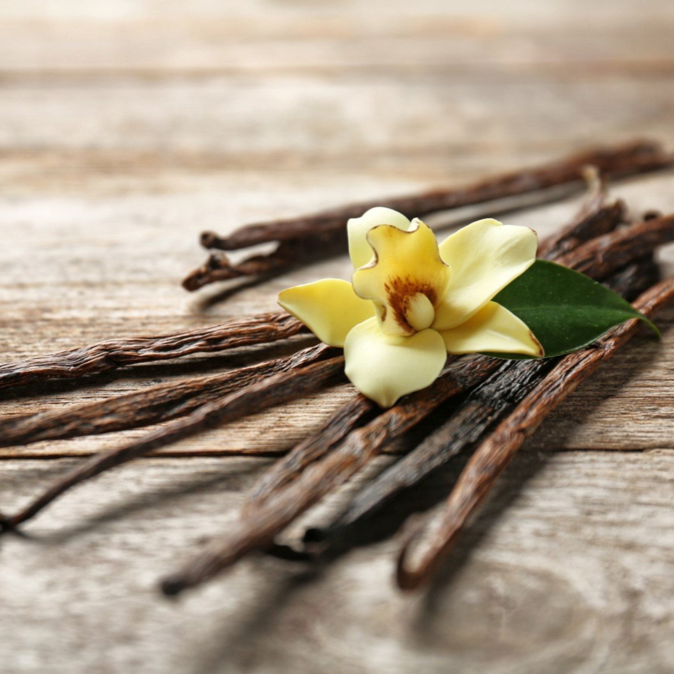 Very Vanilla Fragrance Oil (PF)